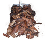 bark